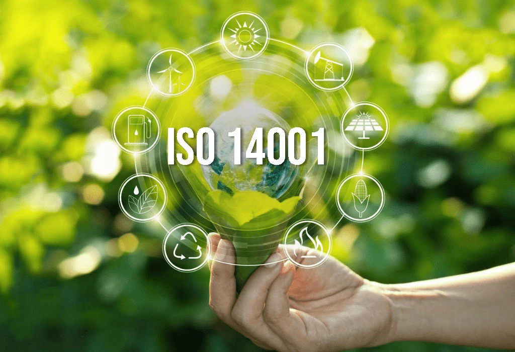 Why should an Organization need ISO 14001 certification Consultancy in UAE?