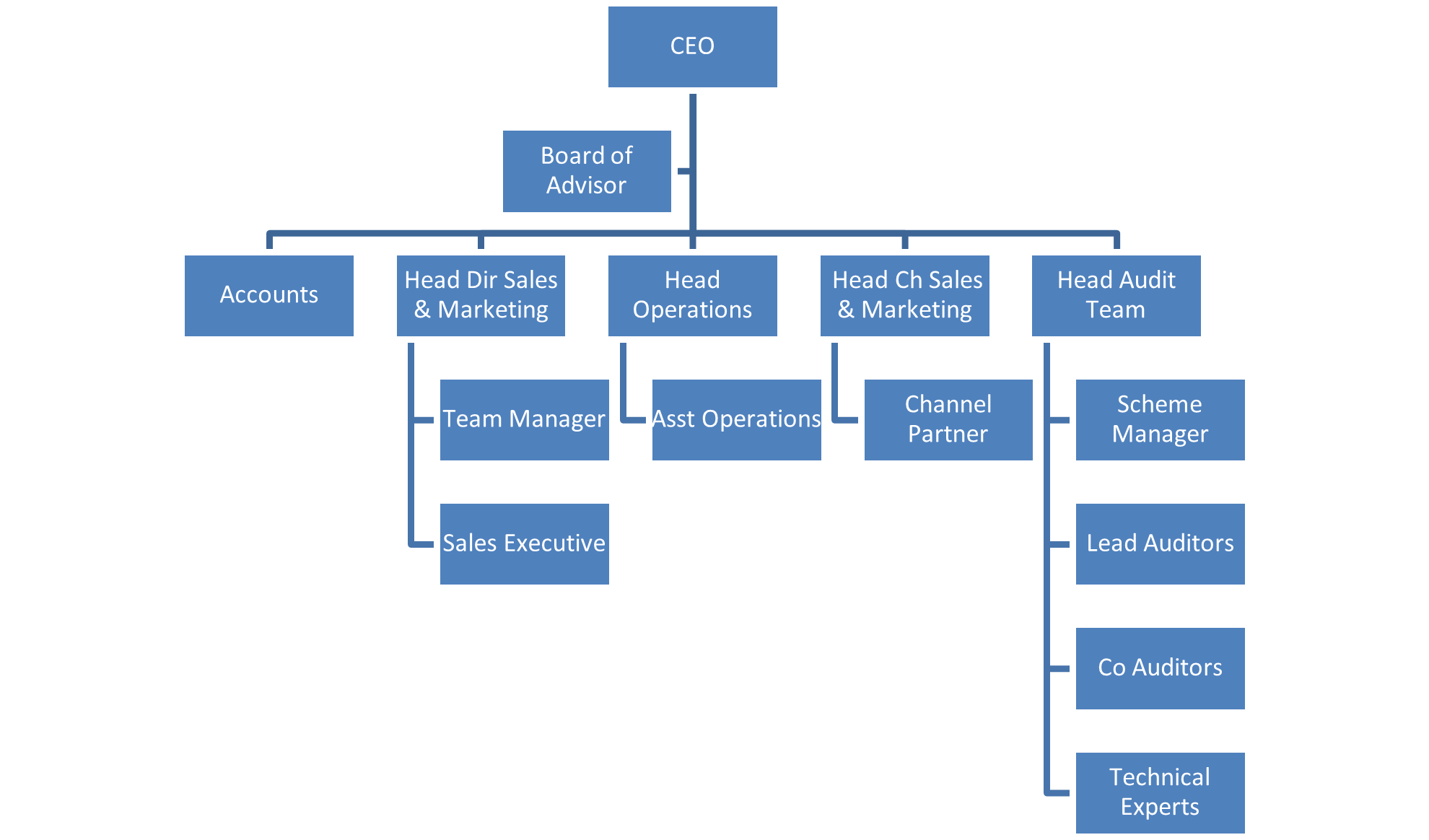 Organogram Audit – Vertical Alliance